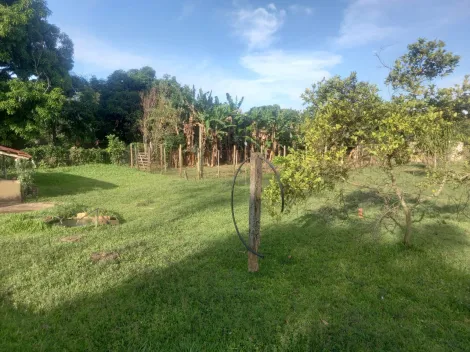 imagem 4 - Chácara No Laranjeiras Para venda imagem 4 - Chácara No Laranjeiras Para venda