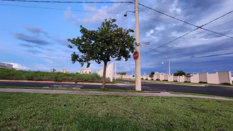 imagem 4 - Terreno - Padrão imagem 4 - Terreno - Padrão