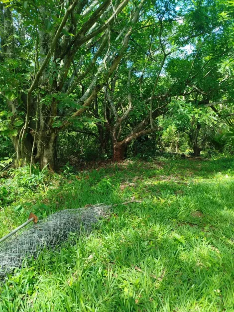 imagem 1 - Rural - Chácara imagem 1 - Rural - Chácara