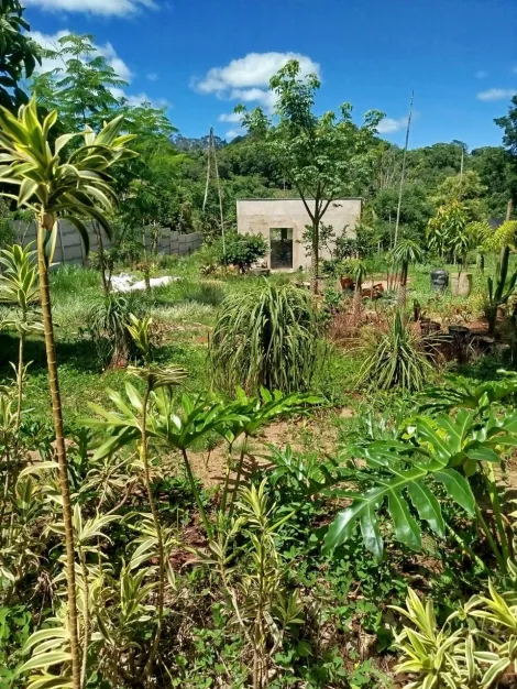 imagem 4 - Rural - Chácara imagem 4 - Rural - Chácara