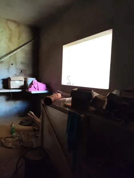 imagem 4 - Galpão A Venda No Bairro Lagoinha imagem 4 - Galpão A Venda No Bairro Lagoinha