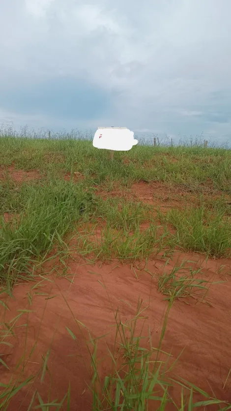 imagem 1 - Terreno A Venda No Bairro Shopping Park imagem 1 - Terreno A Venda No Bairro Shopping Park