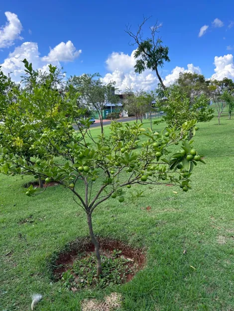 imagem 3 - Terreno - Condomínio imagem 3 - Terreno - Condomínio