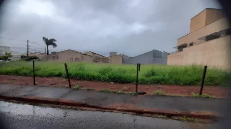 imagem 4 - Terreno A Venda No Bairro Alto Umuarama imagem 4 - Terreno A Venda No Bairro Alto Umuarama