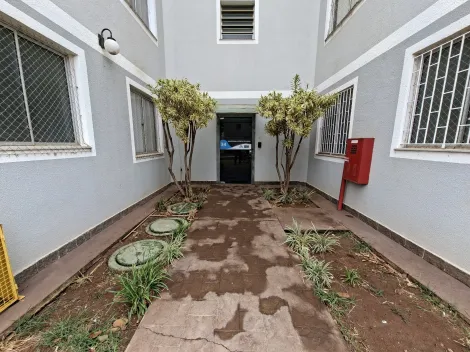 imagem 2 - Apartamento - Padrão imagem 2 - Apartamento - Padrão