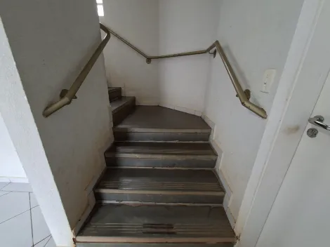 imagem 3 - Apartamento - Padrão imagem 3 - Apartamento - Padrão