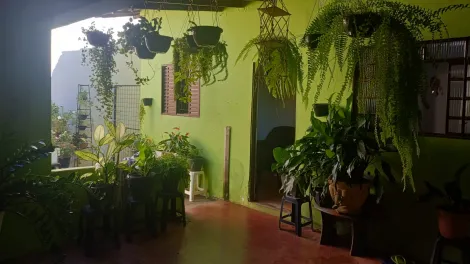 imagem 1 - Casa Para Venda No Bairro Planalto imagem 1 - Casa Para Venda No Bairro Planalto