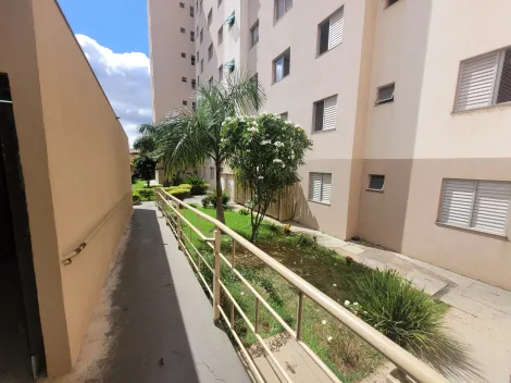 imagem 2 - Apartamento para locação - Venda  bairro Nossa Senhora das Graças imagem 2 - Apartamento para locação - Venda  bairro Nossa Senhora das Graças