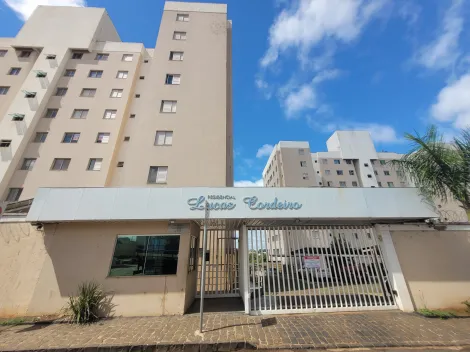 imagem 1 - Apartamento para locação - Venda  bairro Nossa Senhora das Graças imagem 1 - Apartamento para locação - Venda  bairro Nossa Senhora das Graças