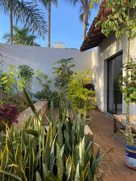 imagem 4 - Casa para locação no bairro Cidade Jardim imagem 4 - Casa para locação no bairro Cidade Jardim