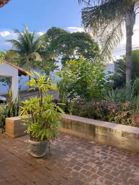 imagem 5 - Casa para locação no bairro Cidade Jardim imagem 5 - Casa para locação no bairro Cidade Jardim