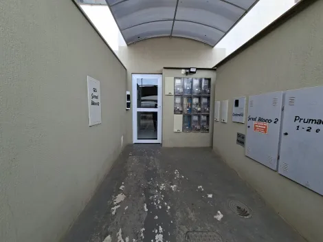 imagem 2 - Apartamento para Venda no Bairro Laranjeiras imagem 2 - Apartamento para Venda no Bairro Laranjeiras