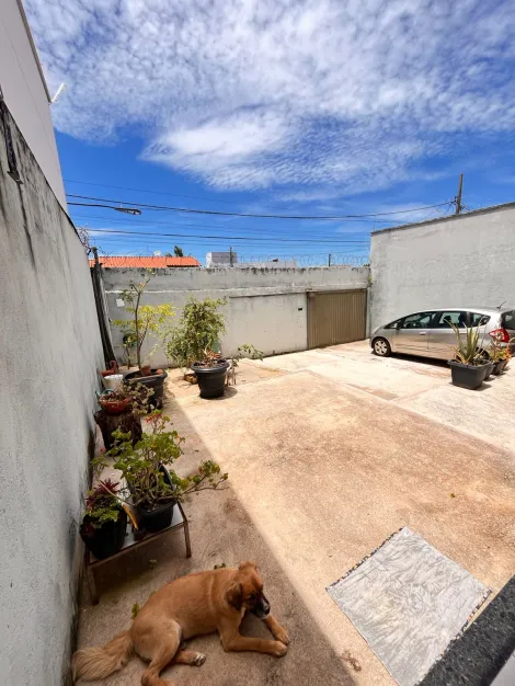 imagem 1 - Casa à venda no Bairro Cidade Jardim imagem 1 - Casa à venda no Bairro Cidade Jardim