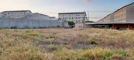 imagem 4 - Terrenos para locação no bairro Jardim Europa imagem 4 - Terrenos para locação no bairro Jardim Europa