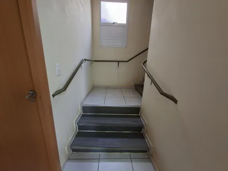 imagem 3 - Apartamento para locação no bairro Laranjeiras imagem 3 - Apartamento para locação no bairro Laranjeiras