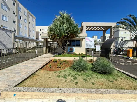 imagem 1 - Apartamento para locação no bairro Laranjeiras imagem 1 - Apartamento para locação no bairro Laranjeiras