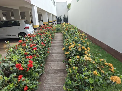 imagem 2 - Apartamento para locação no bairro Daniel Fonseca imagem 2 - Apartamento para locação no bairro Daniel Fonseca