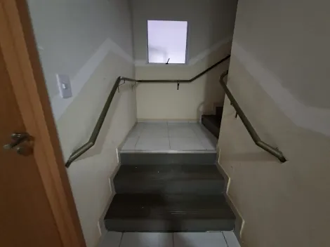 imagem 3 - Apartamento para locação no bairro Laranjeiras imagem 3 - Apartamento para locação no bairro Laranjeiras