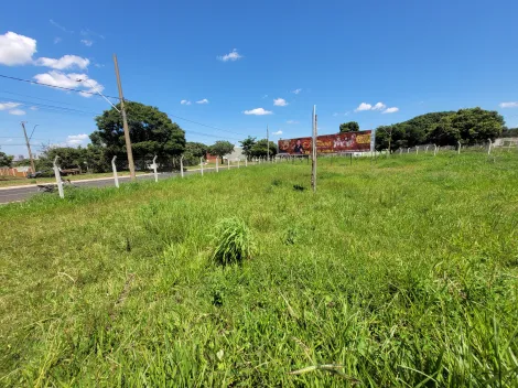 imagem 2 - Terreno para locação no bairro Segismundo Pereira imagem 2 - Terreno para locação no bairro Segismundo Pereira