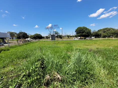 imagem 3 - Terreno para locação no bairro Segismundo Pereira imagem 3 - Terreno para locação no bairro Segismundo Pereira
