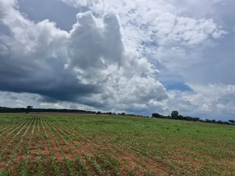 Uberlandia Area Rural de Uberlandia Rural Venda R$20.000.000,00  Area do terreno 87.00m2 Area construida 80.00m2