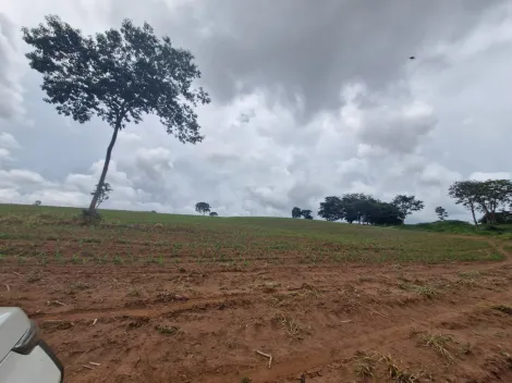 imagem 5 - Rural - Fazenda imagem 5 - Rural - Fazenda