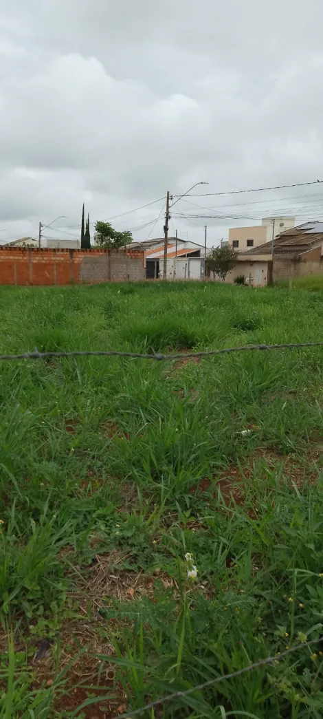 imagem 2 - Terreno A Venda No Bairro Novo Mundo imagem 2 - Terreno A Venda No Bairro Novo Mundo