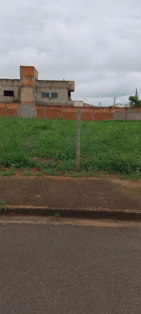 imagem 3 - Terreno A Venda No Bairro Novo Mundo imagem 3 - Terreno A Venda No Bairro Novo Mundo