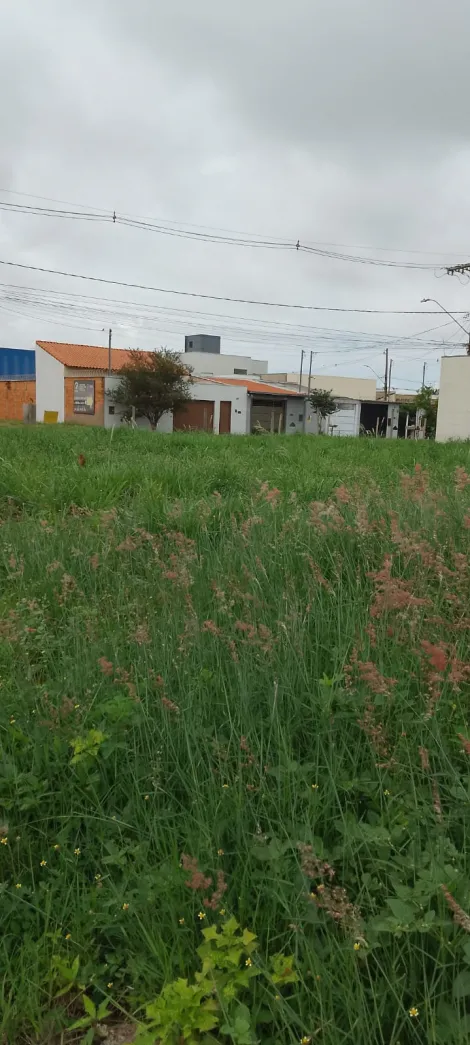 imagem 4 - Terreno A Venda No Bairro Novo Mundo imagem 4 - Terreno A Venda No Bairro Novo Mundo