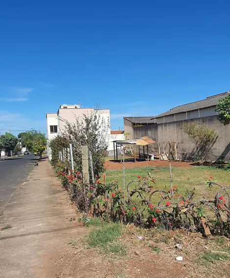 imagem 1 - Terreno De Esquina A Venda No Bairro Pampulha imagem 1 - Terreno De Esquina A Venda No Bairro Pampulha