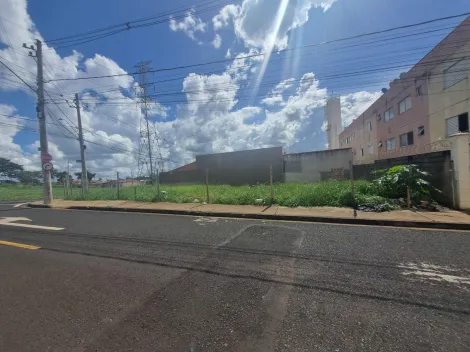 imagem 1 - Terreno - Padrão imagem 1 - Terreno - Padrão