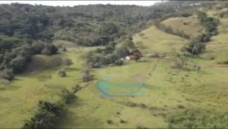 imagem 5 - Sitio Para Venda Na Represa Capim Branco imagem 5 - Sitio Para Venda Na Represa Capim Branco