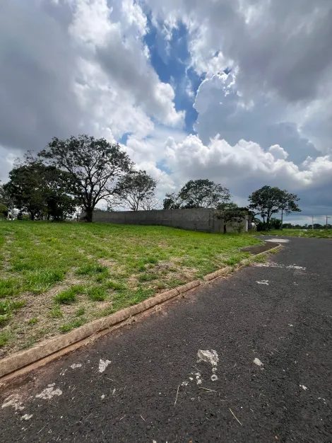 imagem 2 - Terreno - Padrão imagem 2 - Terreno - Padrão