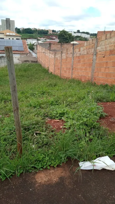 imagem 2 - Terreno Para Venda No Bairro Jardim Patrícia imagem 2 - Terreno Para Venda No Bairro Jardim Patrícia