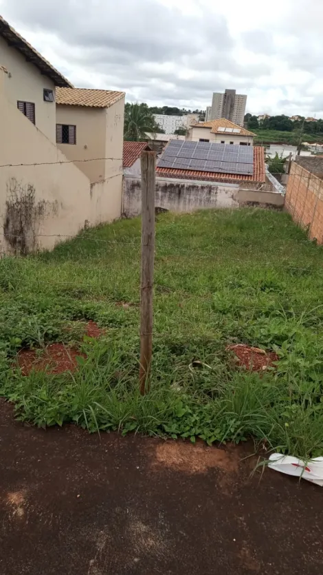 imagem 3 - Terreno Para Venda No Bairro Jardim Patrícia imagem 3 - Terreno Para Venda No Bairro Jardim Patrícia