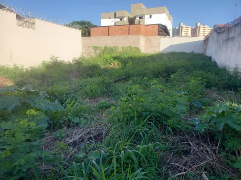 imagem 1 - Terreno Para Venda No Bairro Roosevelt imagem 1 - Terreno Para Venda No Bairro Roosevelt