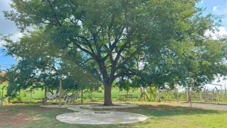 imagem 2 - Chácara Para Venda No Bairro Panorama imagem 2 - Chácara Para Venda No Bairro Panorama