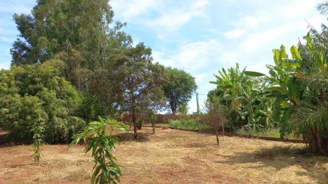 imagem 5 - Chácara Para Venda No Bairro Represa de Miranda Indianópolis imagem 5 - Chácara Para Venda No Bairro Represa de Miranda Indianópolis