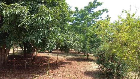 imagem 3 - Chácara Para Venda No Bairro Represa de Miranda Indianópolis imagem 3 - Chácara Para Venda No Bairro Represa de Miranda Indianópolis