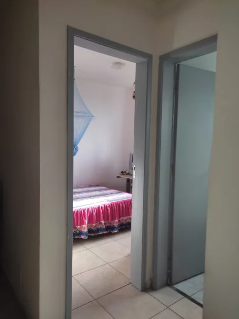 imagem 3 - Apartamento Para Venda No Bairro Jaraguá imagem 3 - Apartamento Para Venda No Bairro Jaraguá