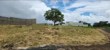 imagem 3 - Terreno de Esquina Para Venda No Bairro Inconfidência imagem 3 - Terreno de Esquina Para Venda No Bairro Inconfidência