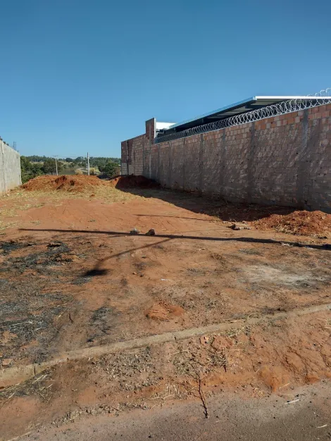 imagem 2 - Terreno Para Venda No Bairro Luizote De Freitas imagem 2 - Terreno Para Venda No Bairro Luizote De Freitas
