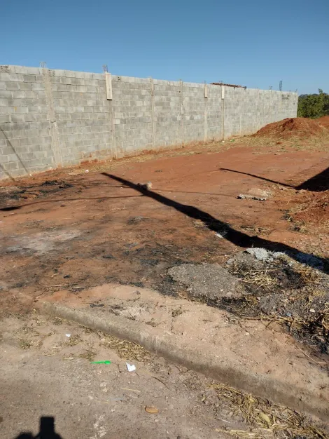 imagem 4 - Terreno Para Venda No Bairro Luizote De Freitas imagem 4 - Terreno Para Venda No Bairro Luizote De Freitas