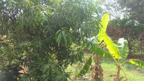 imagem 4 - Rural - Chácara imagem 4 - Rural - Chácara