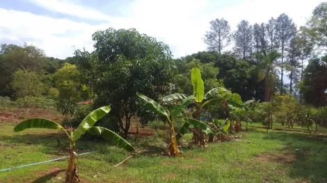 imagem 5 - Rural - Chácara imagem 5 - Rural - Chácara