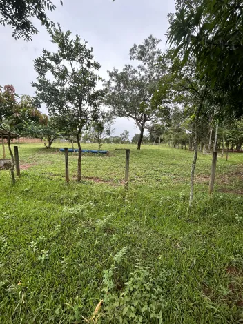 imagem 1 - Chácara Para Venda No Bairro Douradinho imagem 1 - Chácara Para Venda No Bairro Douradinho