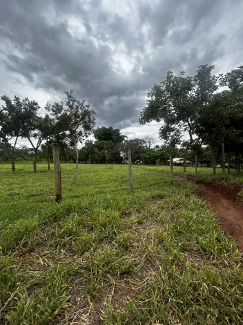 imagem 3 - Chácara Para Venda No Bairro Douradinho imagem 3 - Chácara Para Venda No Bairro Douradinho