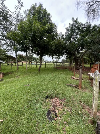 imagem 4 - Chácara Para Venda No Bairro Douradinho imagem 4 - Chácara Para Venda No Bairro Douradinho