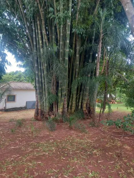imagem 5 - Chácara Para Venda No Bairro Douradinho imagem 5 - Chácara Para Venda No Bairro Douradinho