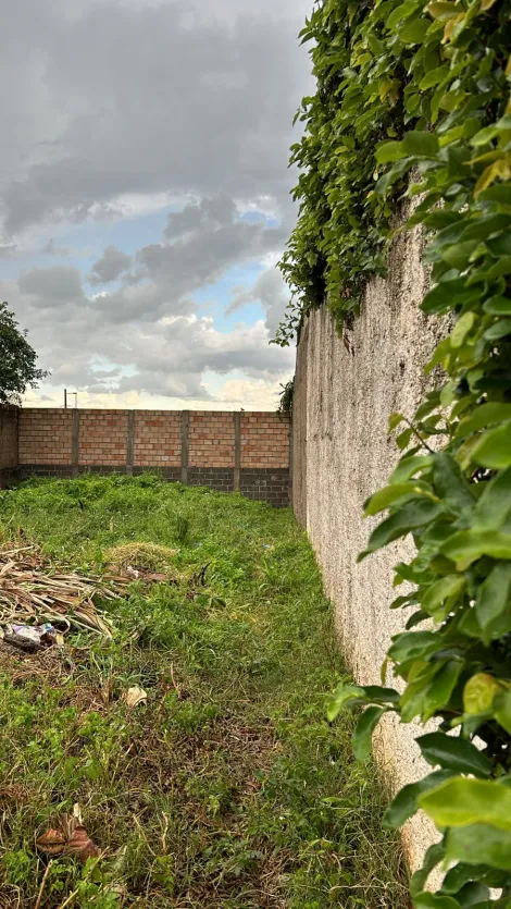 imagem 4 - Terreno - Padrão imagem 4 - Terreno - Padrão